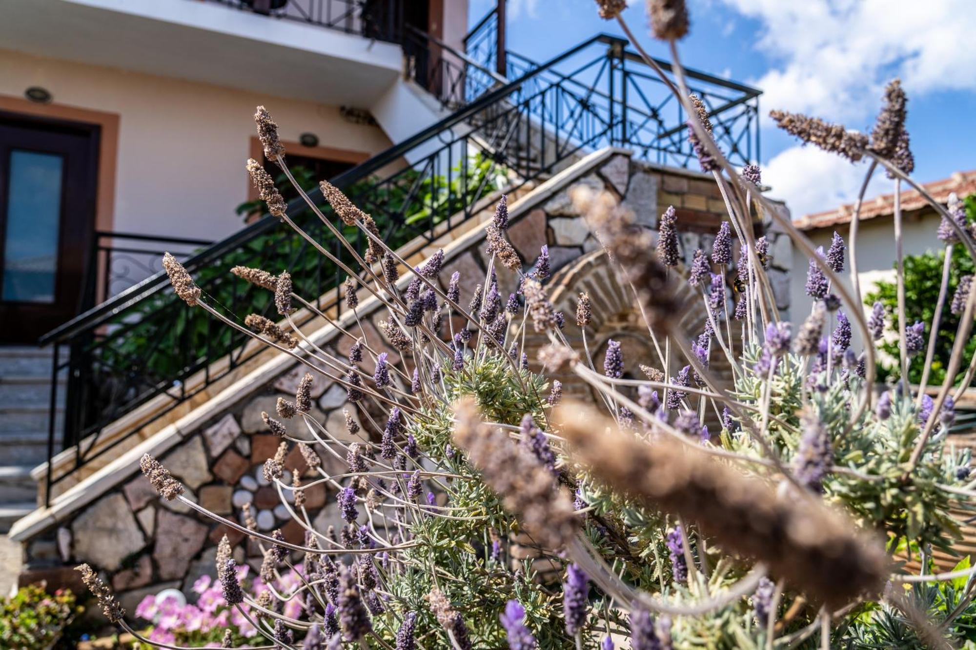 Koroni Family House With The Best View 84 Sqm Kültér fotó